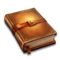 provider