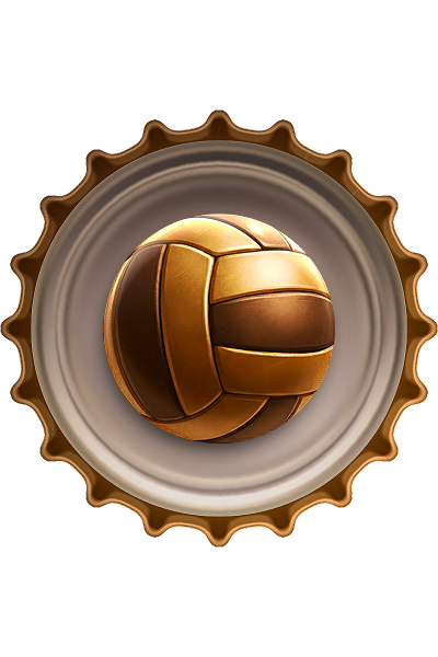 Platziere eine Einzelwette auf Volleyball