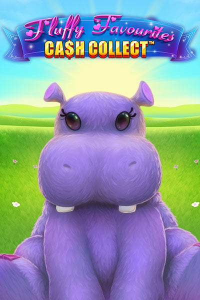 Fluffy Favourites: Cash Collect