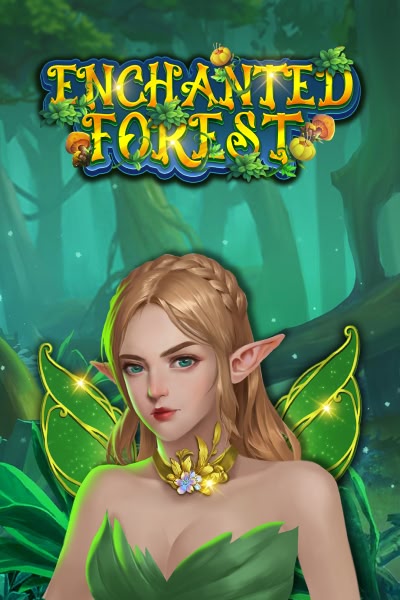 Enchanted Forest